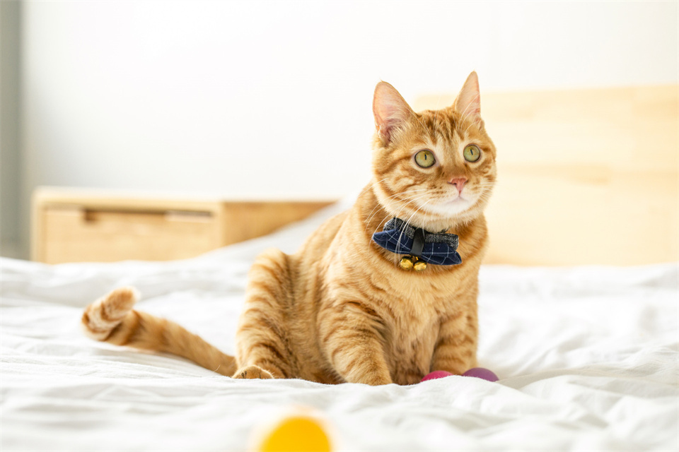 职场最傻的就是公开和领导闹矛盾,职场上领导故意为难你该怎么处理