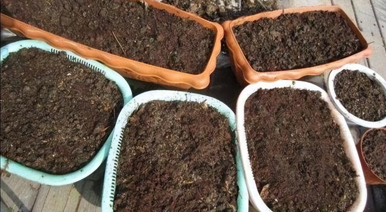 养花必买的有什么东西,养花必备的10件神器