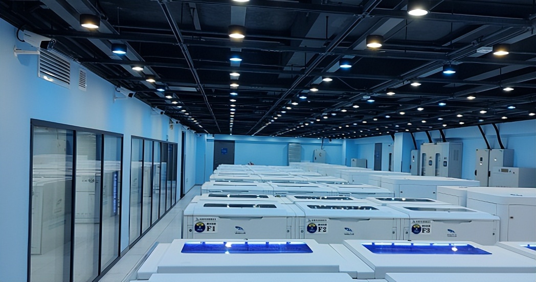 2023财富榜企业排名中国,2023财富企业排行榜中国