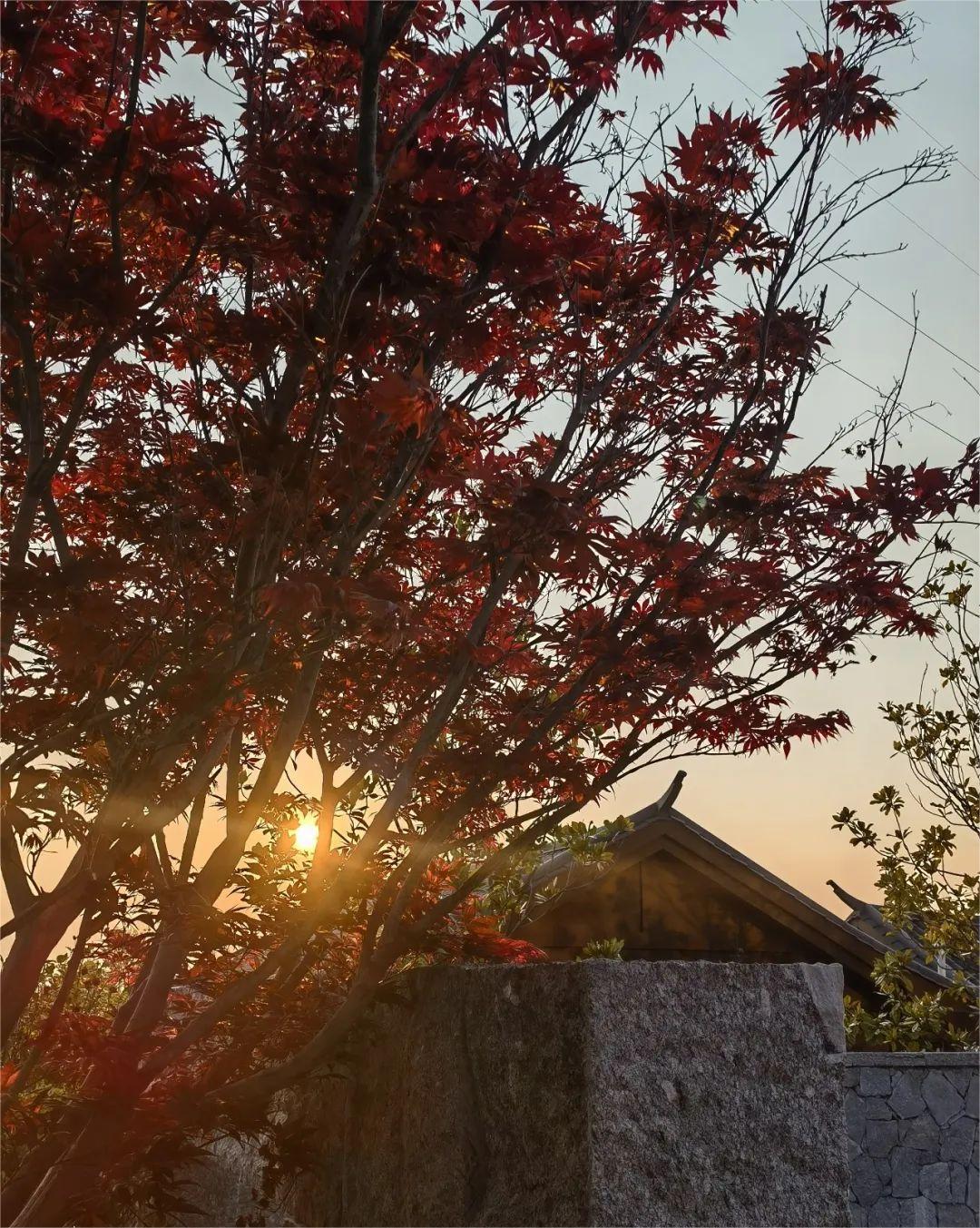 你们都说人多，我却找到一个人少又神仙的地方！