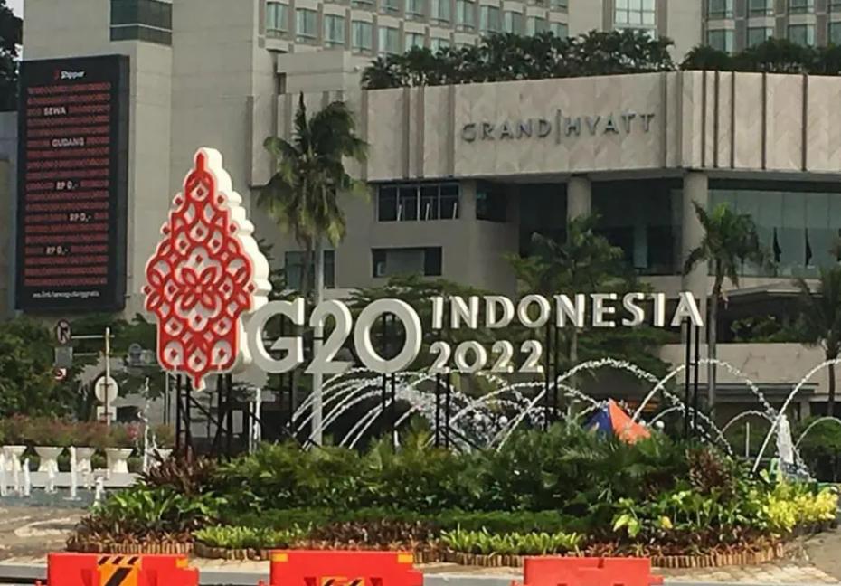 俄称普京尚未决定是否出席g20峰会,俄方谈普京出席g20