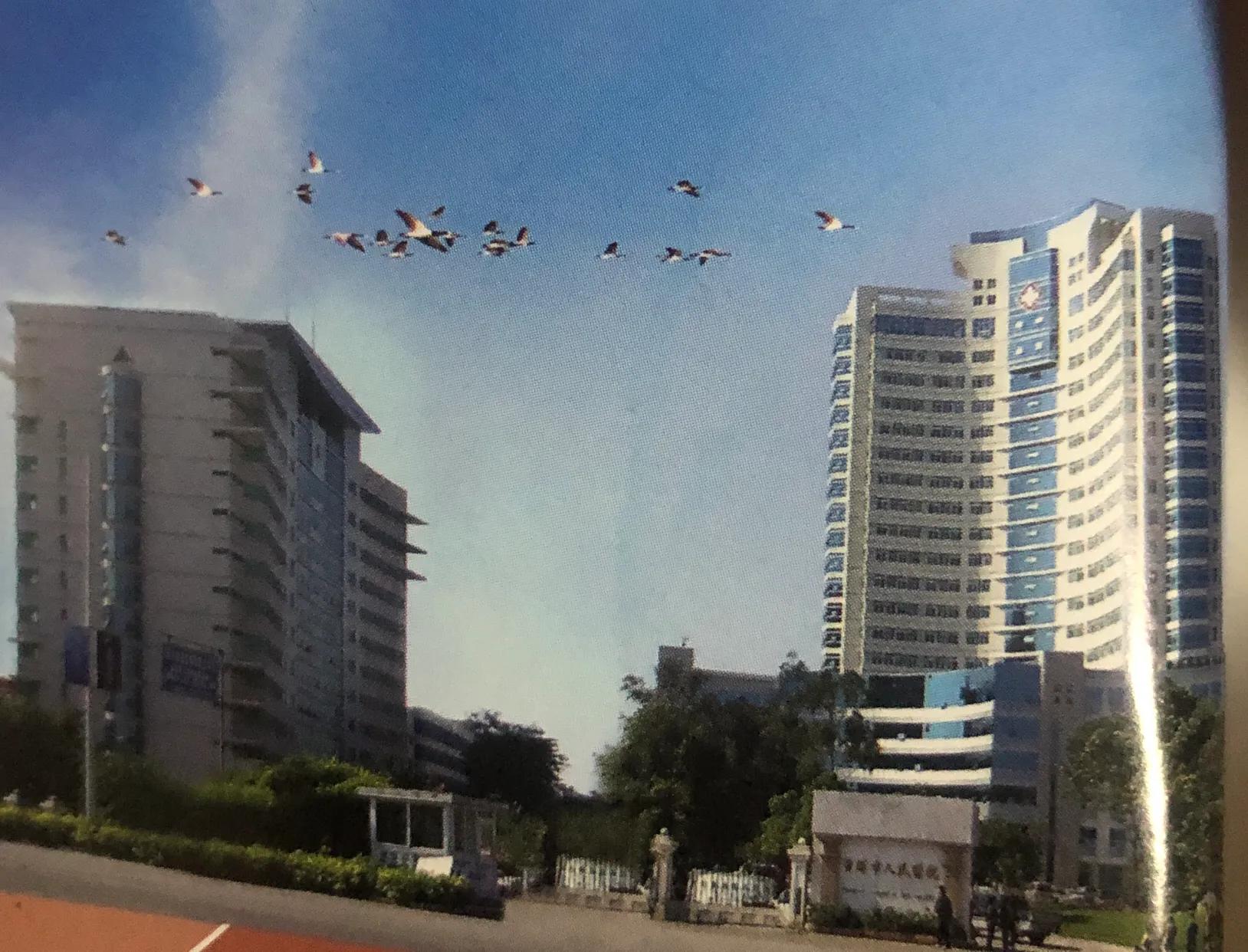 医务工作者的成长之路,一个平凡的医务工作者