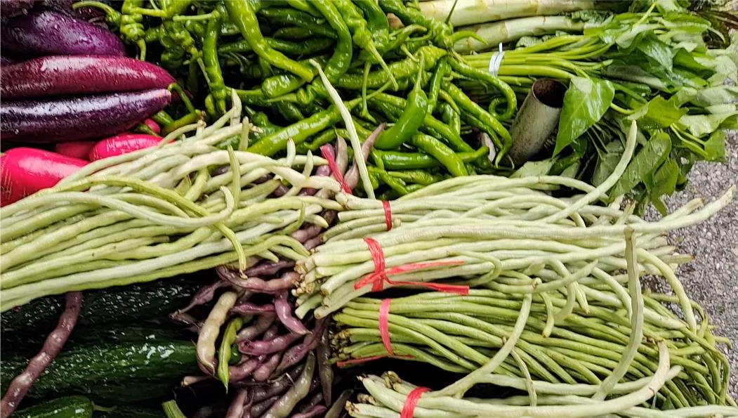 贵州六盘水避暑吃什么,六盘水避暑需要注意什么