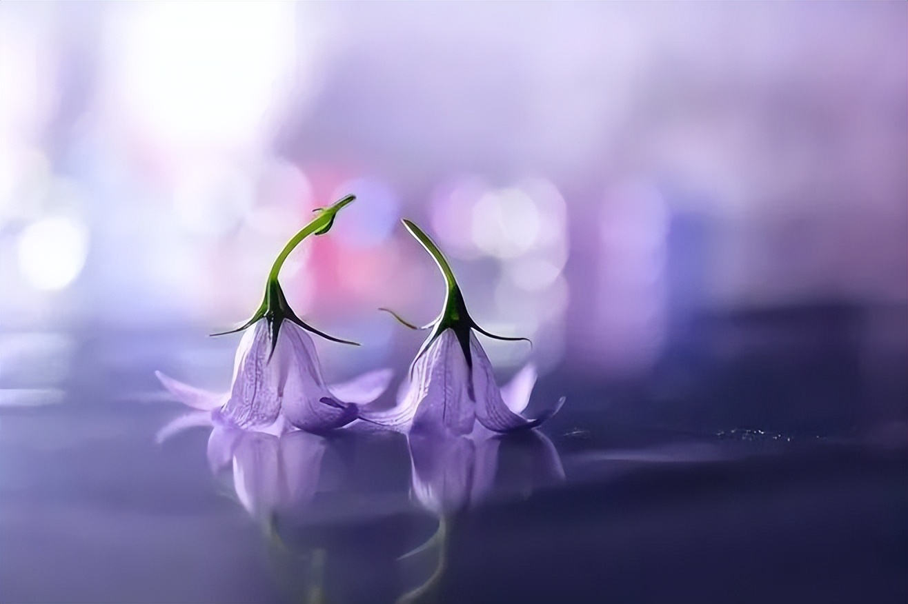 红颜知己和蓝颜知己是什么关系啊,红颜知己和蓝颜知己是什么关系呢