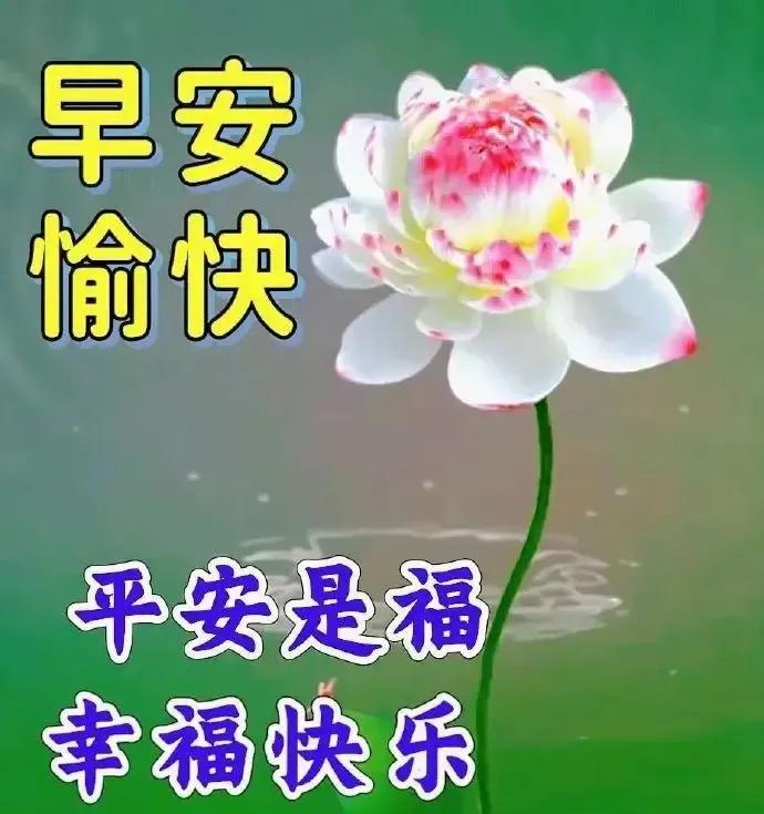 乙木命2023年癸卯年运势怎样,农历2023年癸卯年正月结婚吉日