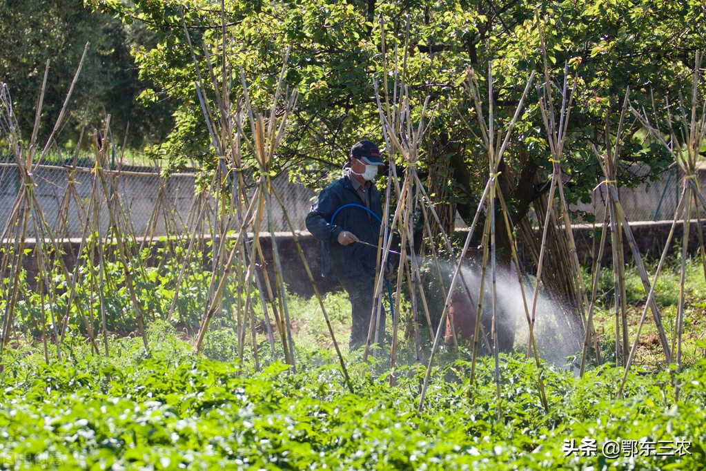 农户自制有机肥,自制有机肥教学视频