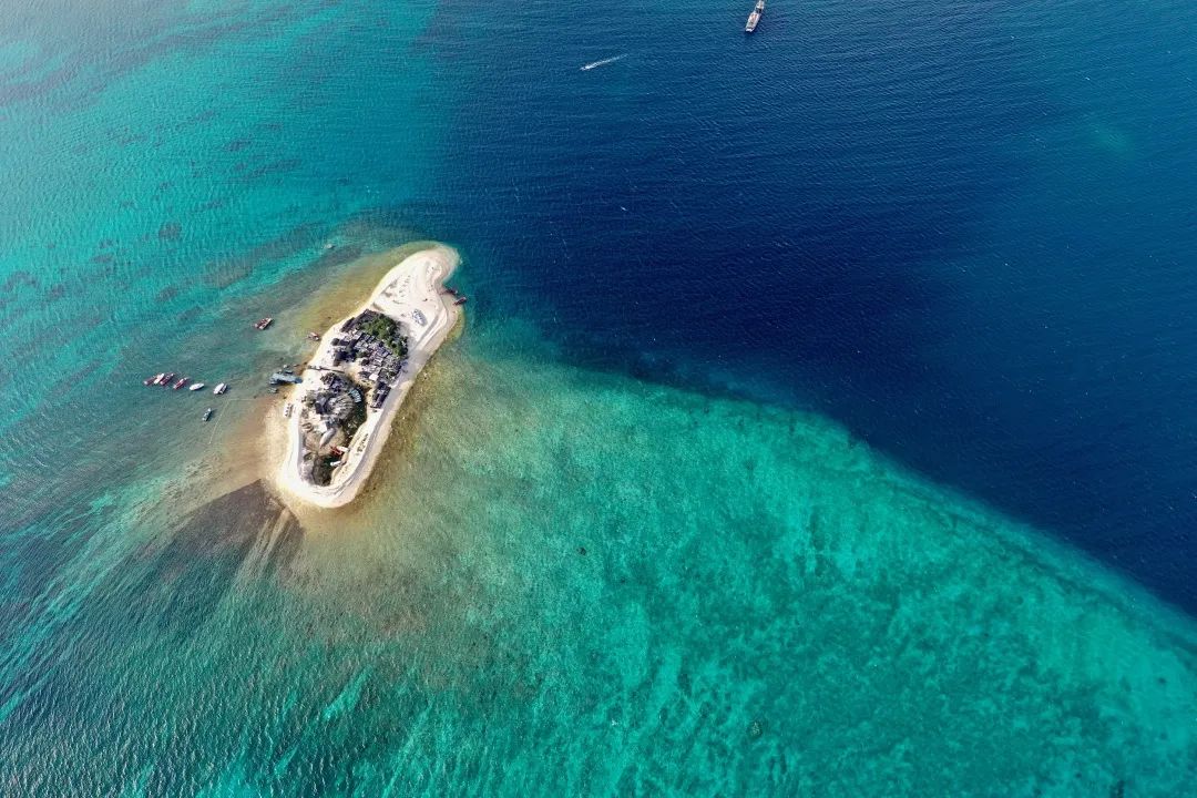 富饶的西沙群岛海底视频,西沙群岛最大岛屿是哪个