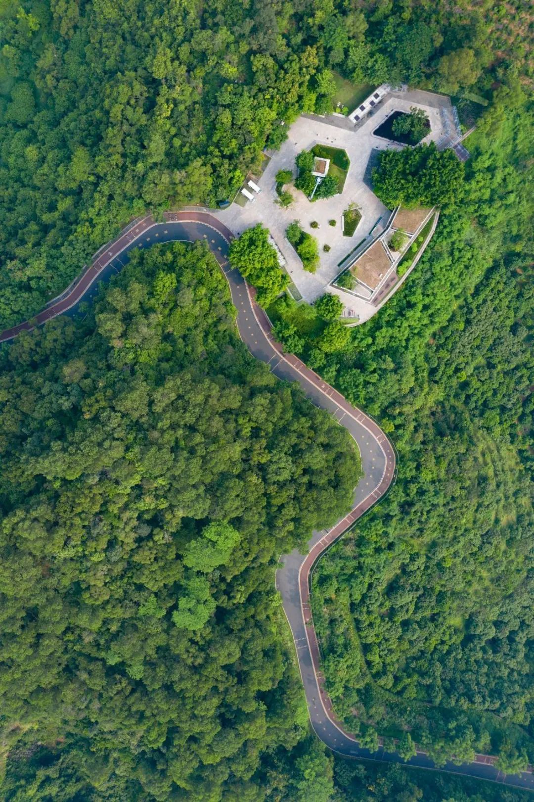 深圳淘金山绿道公园攻略,深圳淘金山绿道风景视频