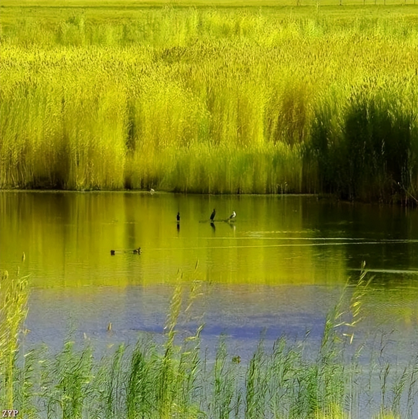 最美中国年摄影作品,大美中国全国摄影大赛