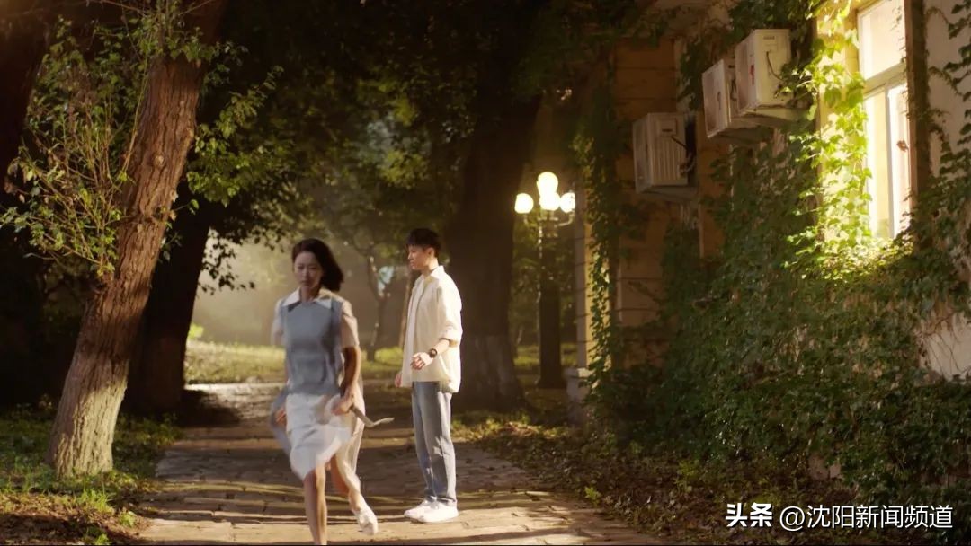 沈阳的新鲜事,沈阳的故事视频