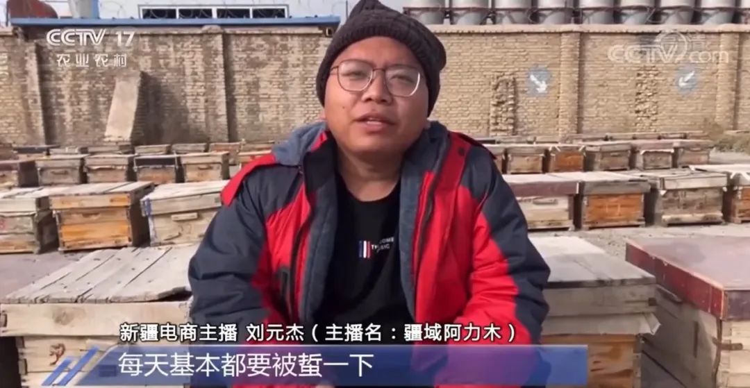 三农博主疆遇阿力木,新疆网红阿力木怎么关注