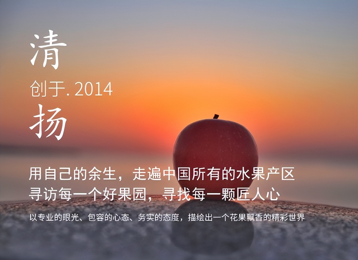 农业创收有妙招,农业应该怎么赚钱