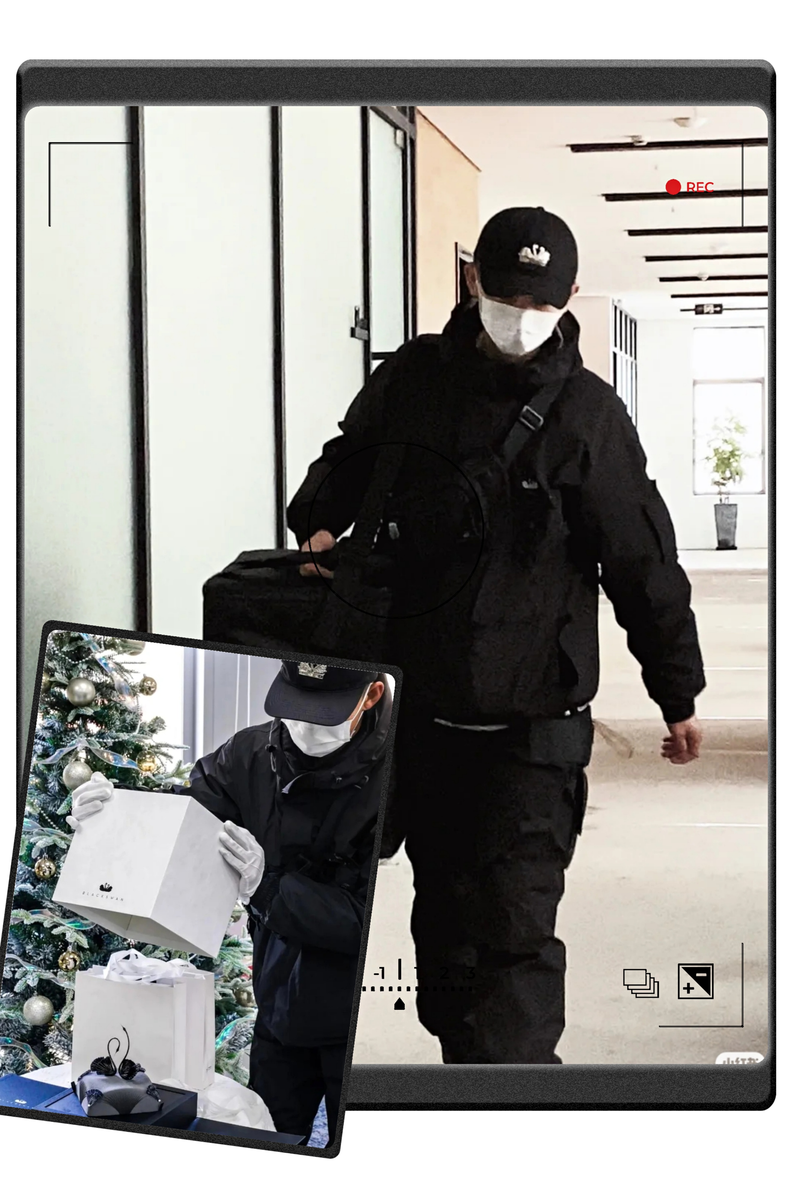 最贵的黑天鹅蛋糕价格表,黑天鹅网红蛋糕价格