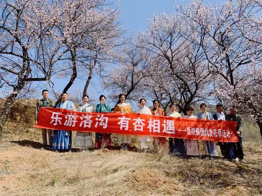 乡村运营日记,村庄日记最新