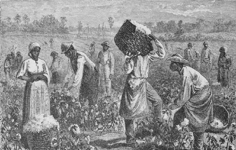 18世纪奴隶贸易最严重的原因,奴隶贸易的原因和影响