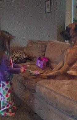 100个难得一见照片，砍伐巨树，运输军舰的巨轮，治疗风湿病的熊