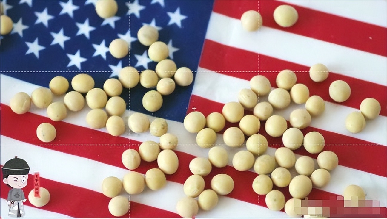 为什么进口大豆巴西比美国便宜,中国进口巴西大豆最新动态