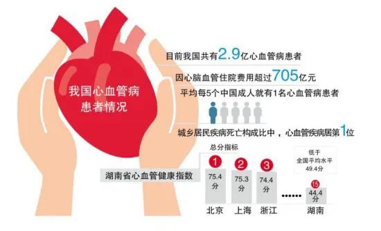 哪两个季节是心脑血管病的高发期,河北省最新心脑血管疾病发病率