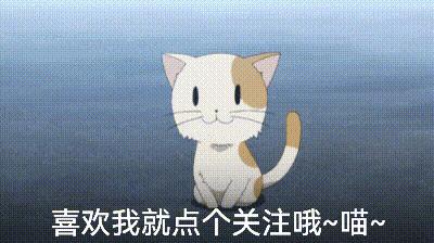 泰迪为啥那么讨人厌,泰迪真的好色么