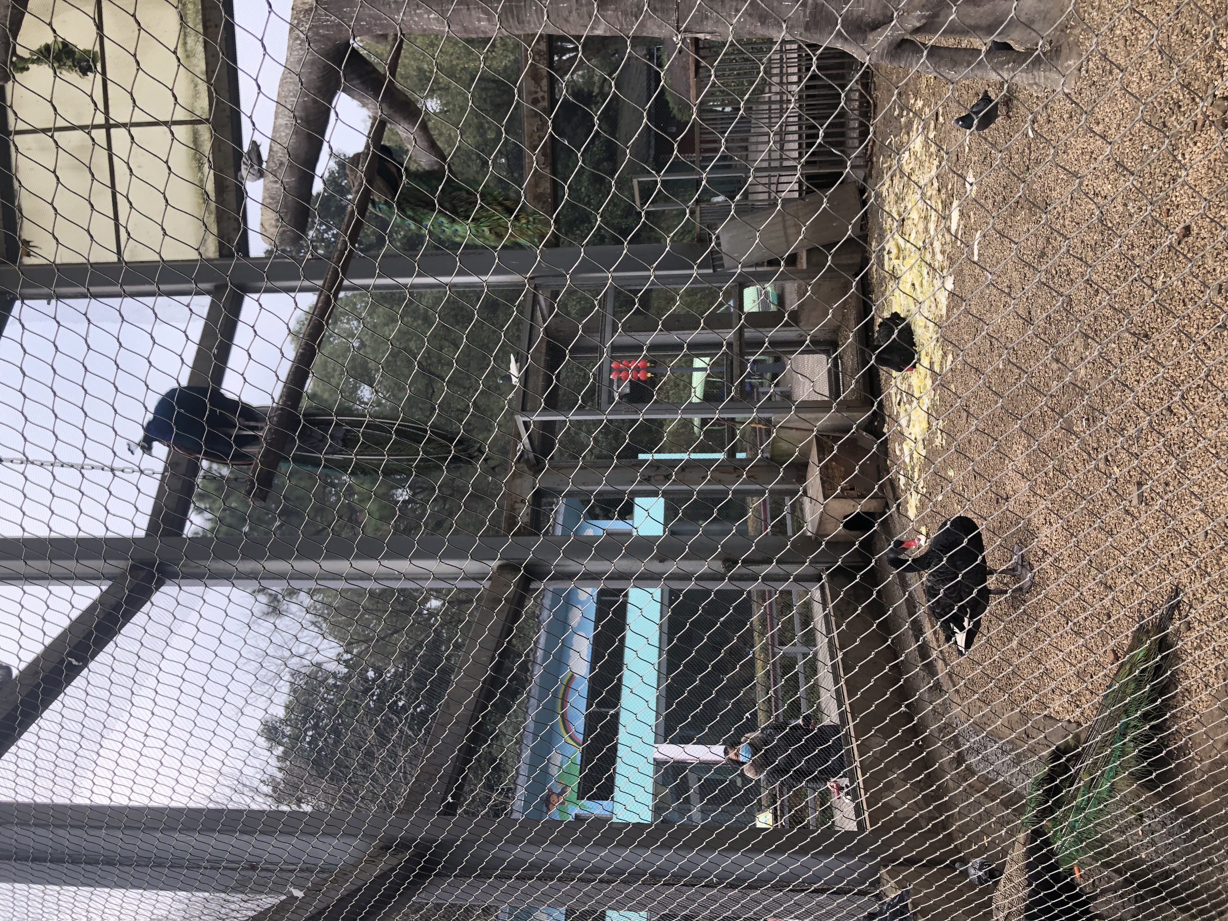 杭州美丽的山水公园,杭州临平山公园