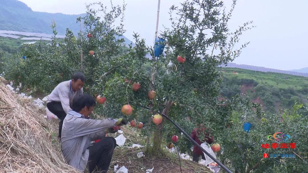 一线调研看发展,一线走访调研