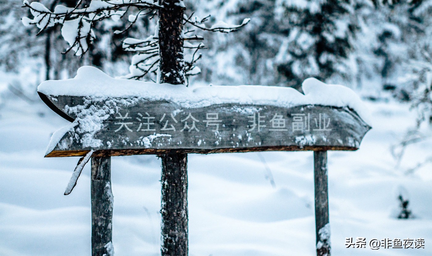 抖音小红书卖课平台,小红书引流卖教辅资料