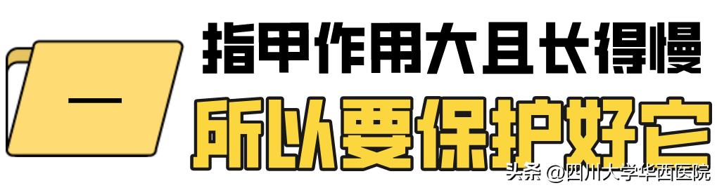 华西专家说，不是转你们，起码有一半的人从没有剪对过指甲儿！