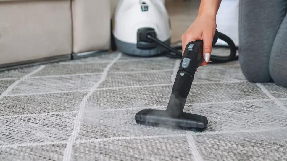 怎么去除地毯霉菌,地毯上的霉菌怎么清洗