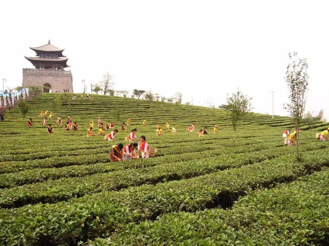 鏅幢涓栫晫鑼舵簮,澶╄祼鏅幢涓栫晫鑼舵簮