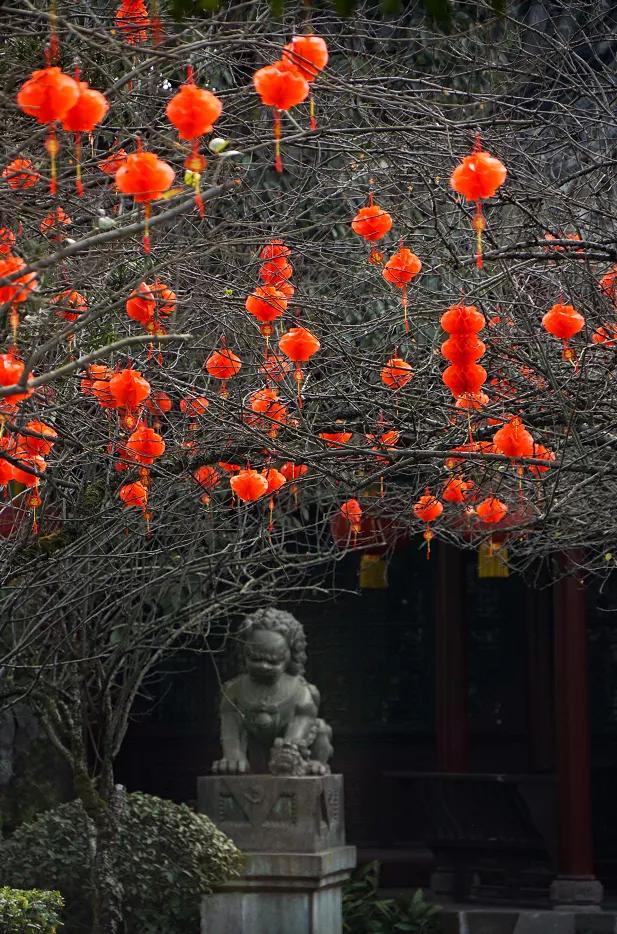 双流人的年味儿，从这些地方飘出来了