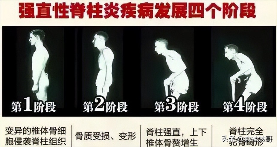 金晨模仿卡塔尔小王子晒照,金晨模仿卡塔尔王子被起诉了吗