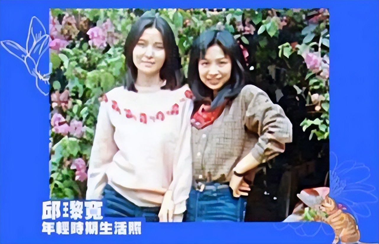 王菲背后故事,王菲究竟是什么样的女人