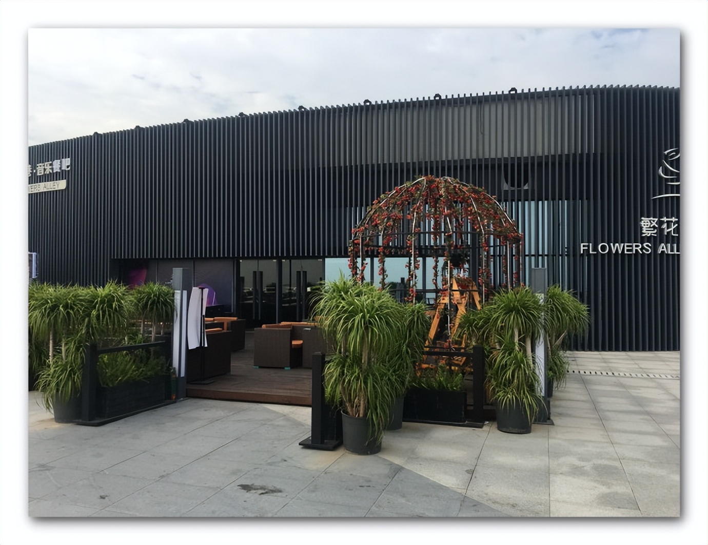 珠海野狸岛最新消息,珠海野狸岛有住宿吗