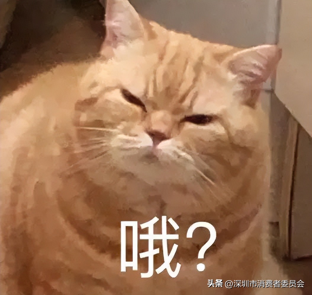 充值话费29.9充100被骗怎么解决,19块9充100话费诈骗套路