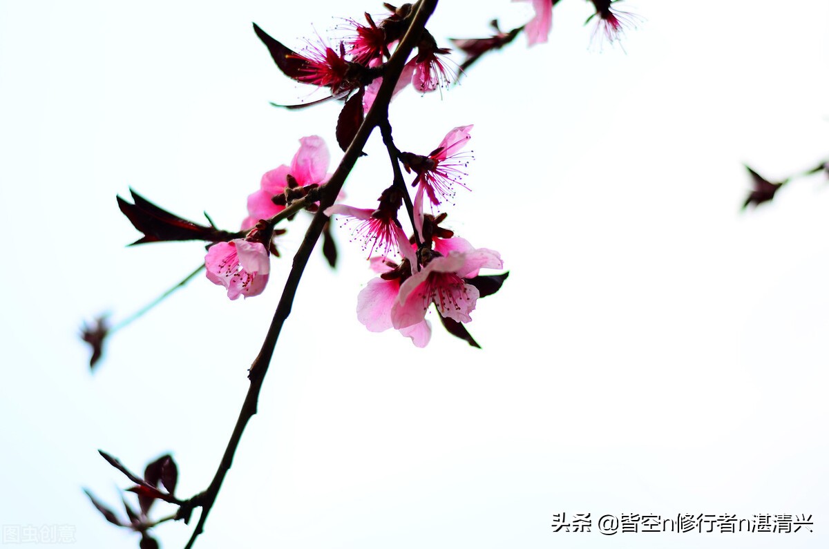 一个人命里的祸福,一个人的祸福是有定数