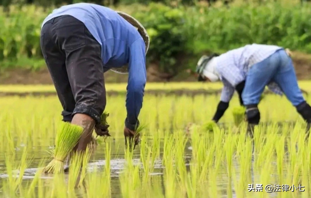 农民土地被侵占找哪个部门处理,农民土地被占找谁还
