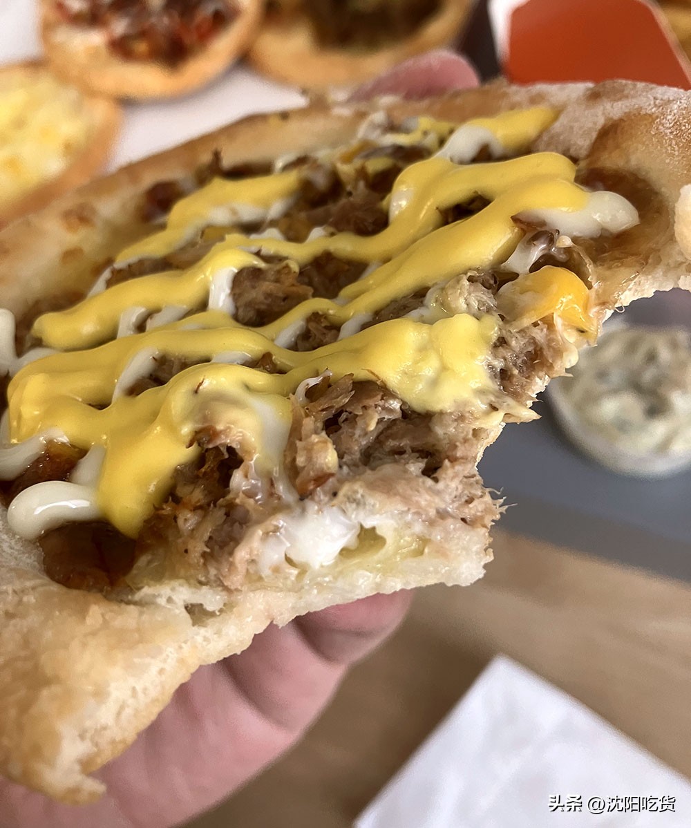 这是我吃过最贵的芝士披萨,这是我吃过的最美味的披萨饼英文