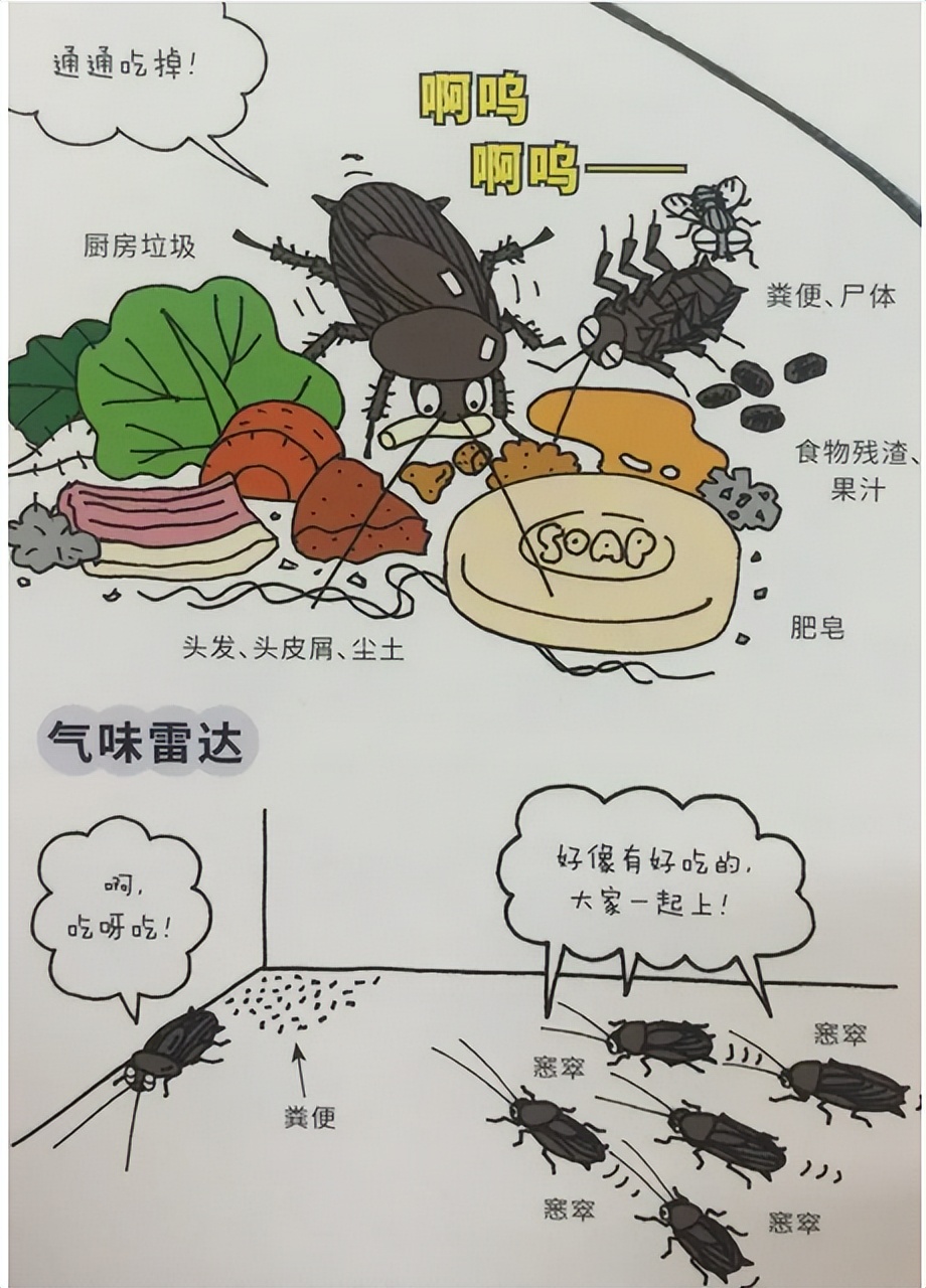 消灭蟑螂的100种方法之油炸蟑螂,蟑螂怎么消灭最彻底的方法