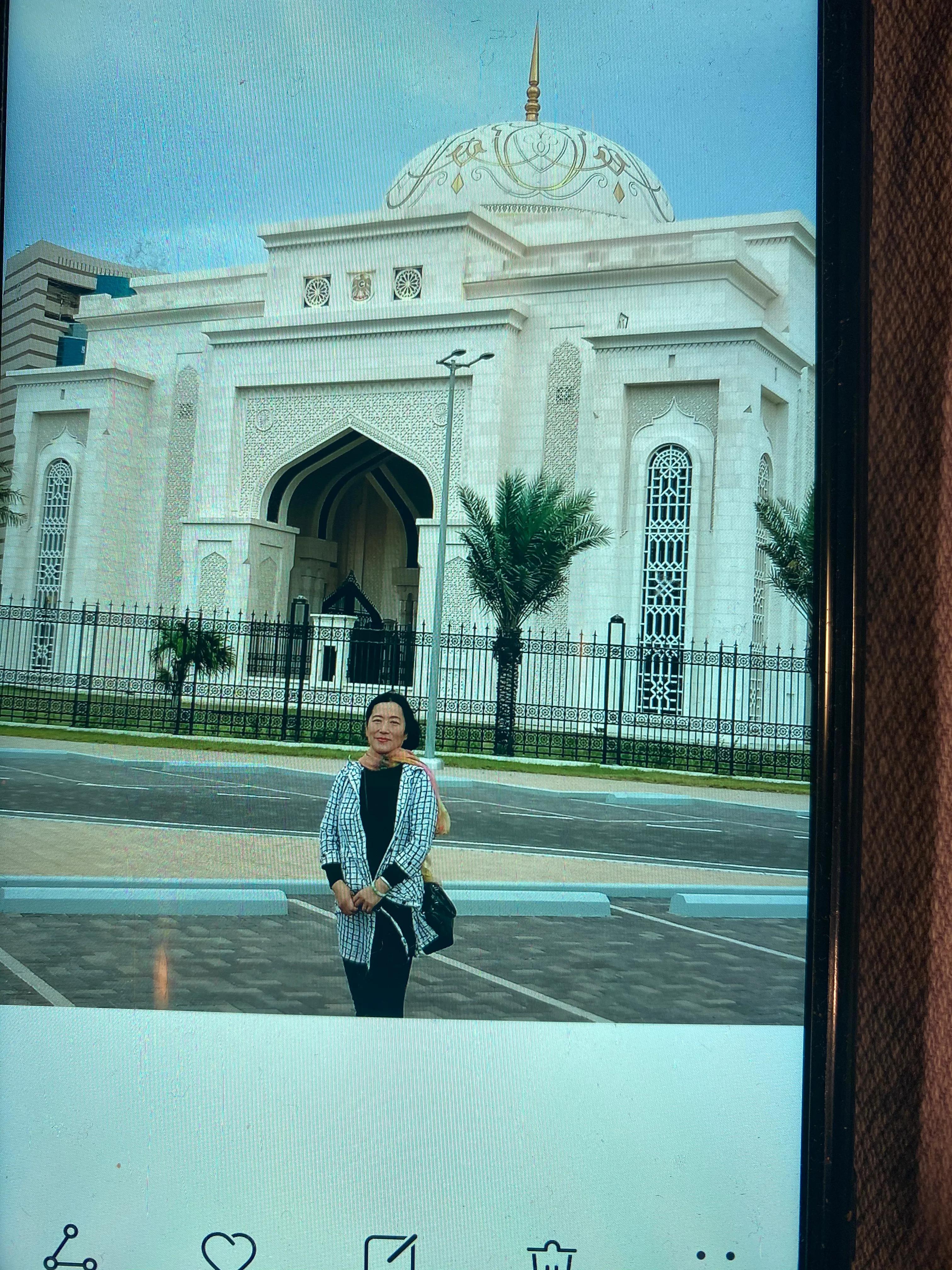 沙漠中的绿洲迪拜介绍,迪拜沙漠绿洲地址