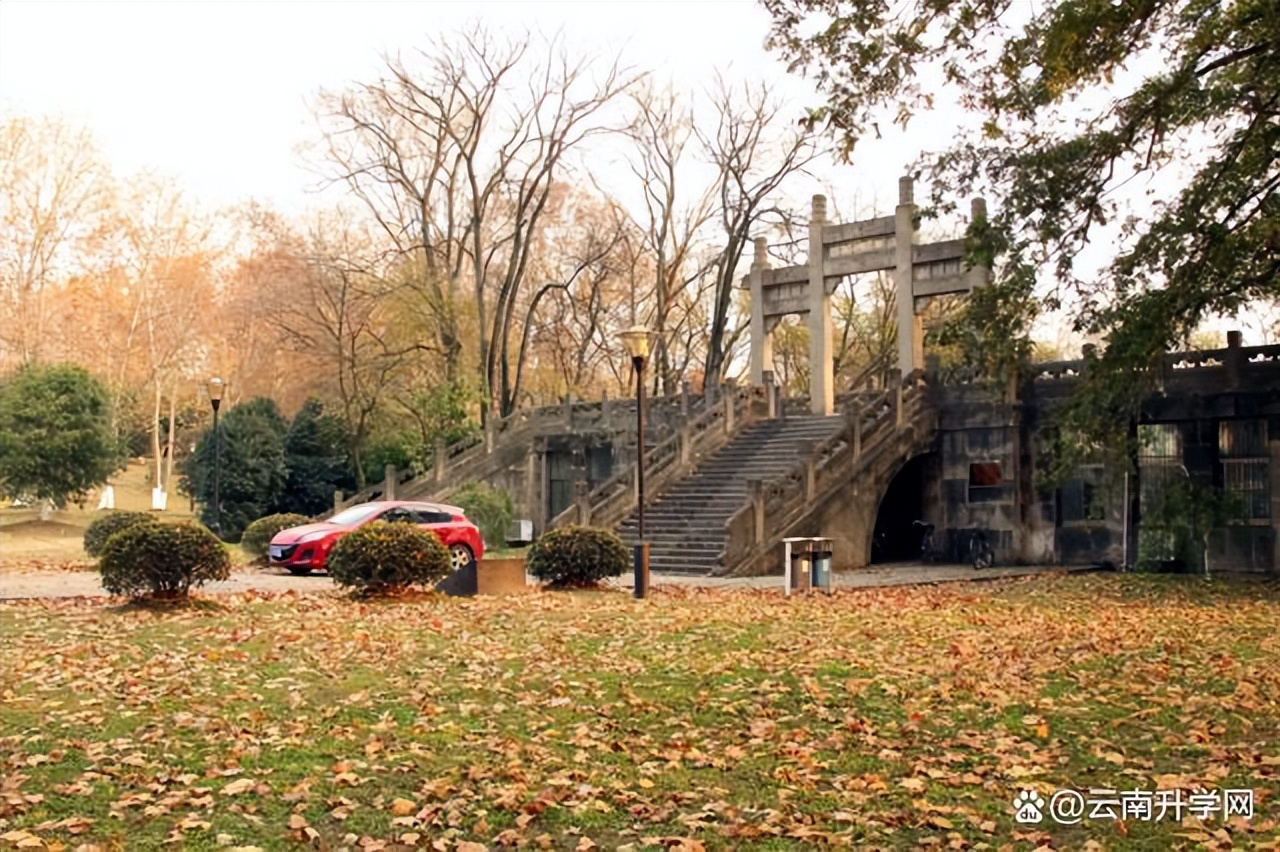 南京体育学院冠军名单,南京体育学院冠军之路