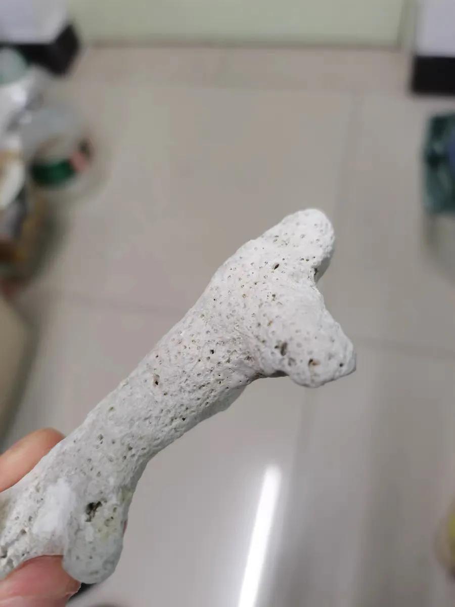 养鱼底滤滤材真的是越多越好吗,养鱼滤材怎么挑