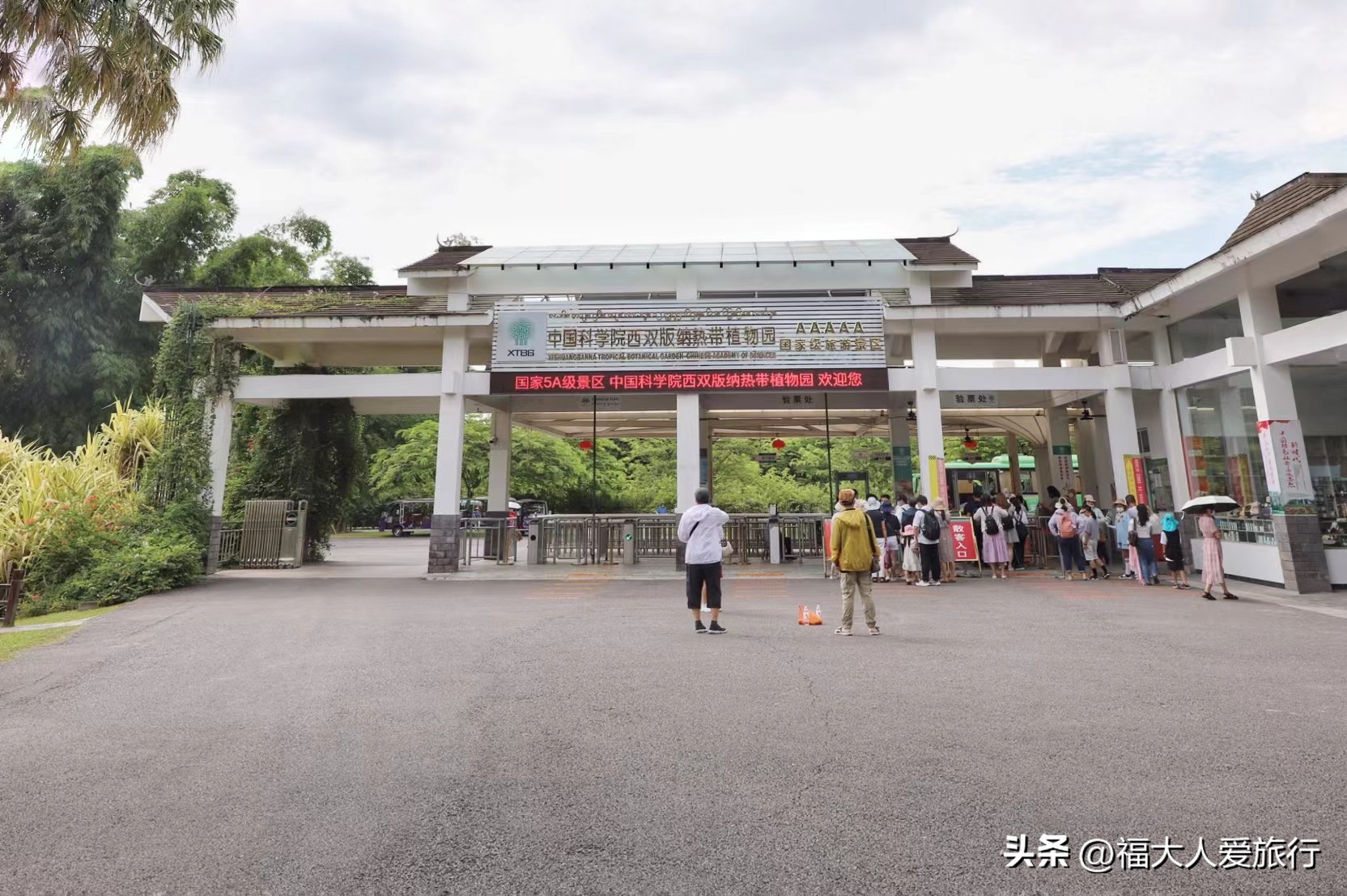 云南西双版纳热带植物园官网,西双版纳植物园全面讲解