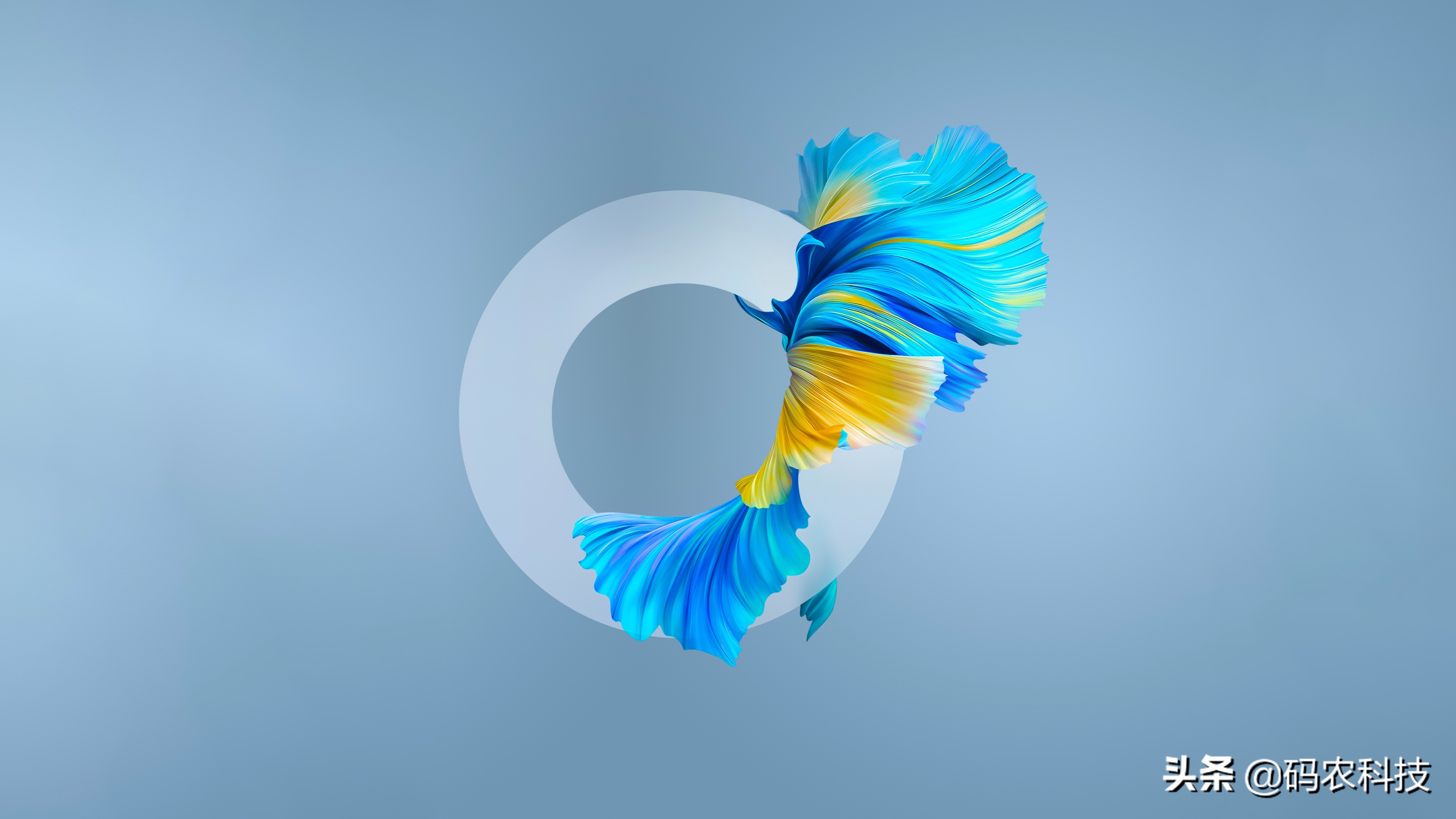 openeuler界面,openeuler系统界面