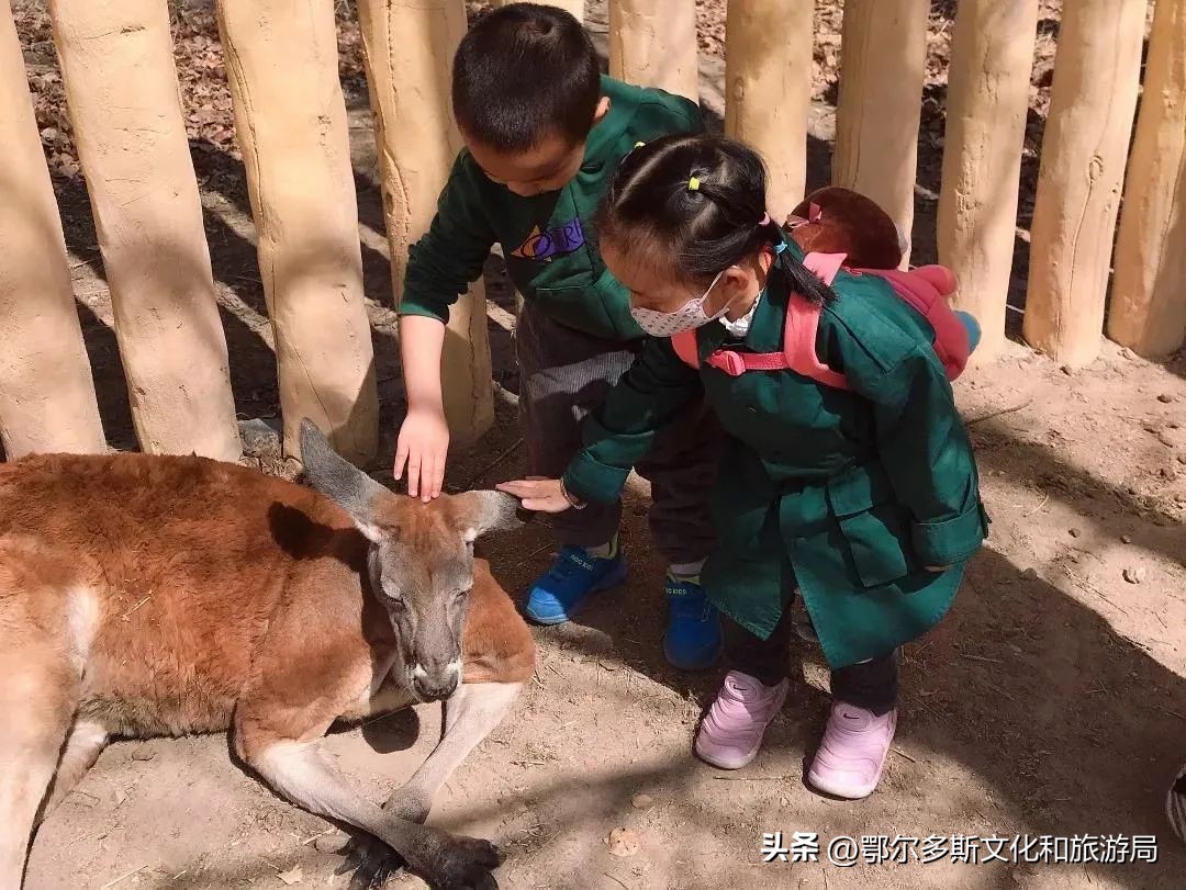 三月份去踏青旅游攻略,踏青赏春旅游攻略