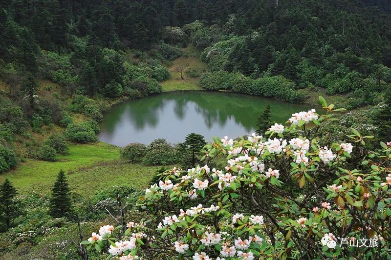 芦山县大川镇夏天避暑凉快吗,暑假避暑旅游最佳选择川内