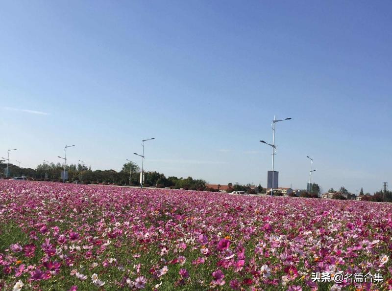 名篇金榜「赤壁诗苑」龙感湖诗词合集(第005期)