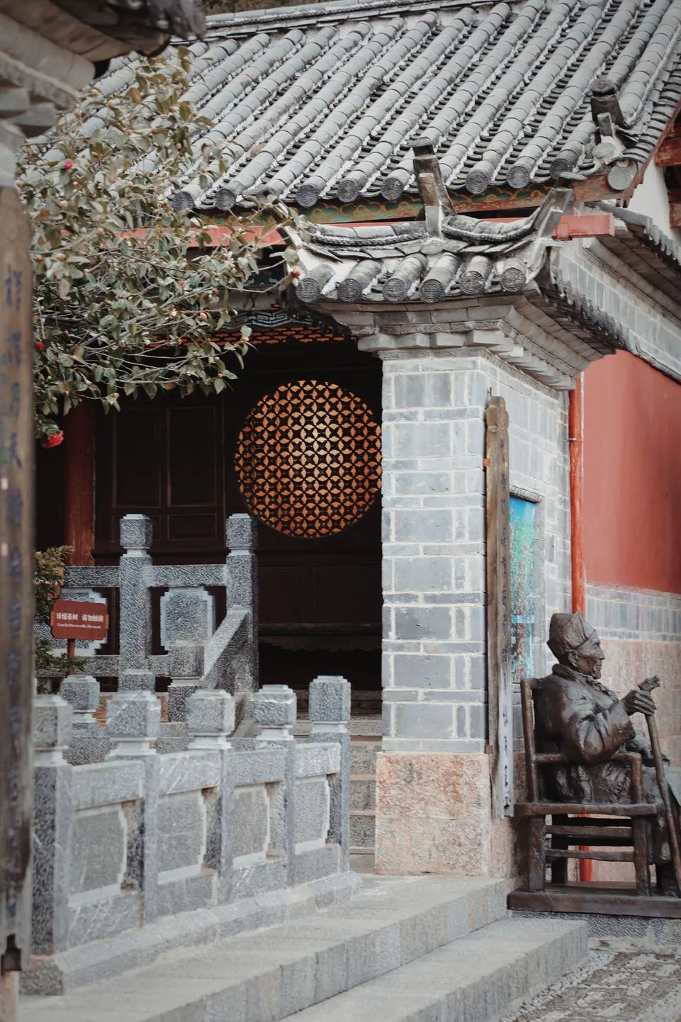 玉峰寺茶花,昆明金殿看茶花