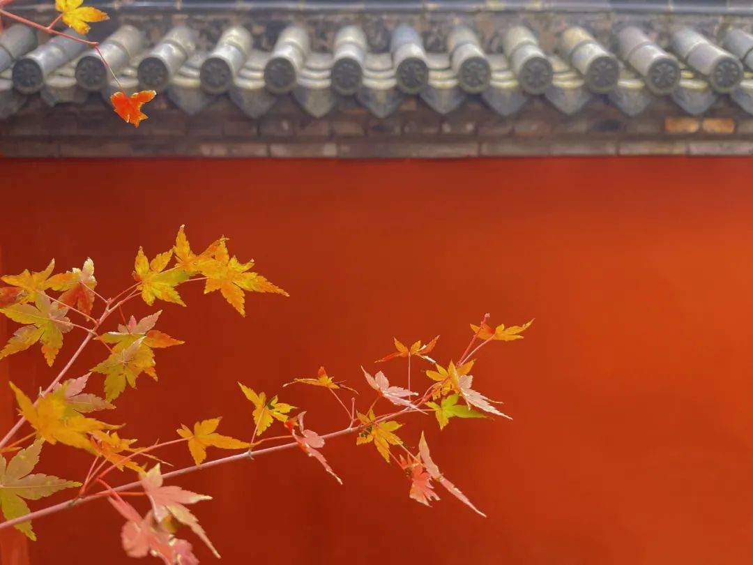 用运动捍卫健康！冬日全民健身，来金坛茅山！