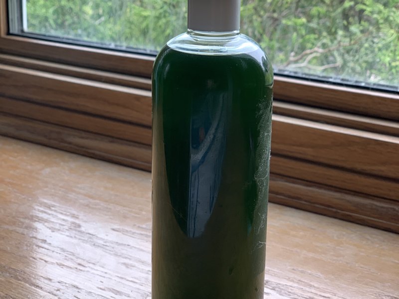 穿越必备指南黑火药,自制清凉薄荷花露水