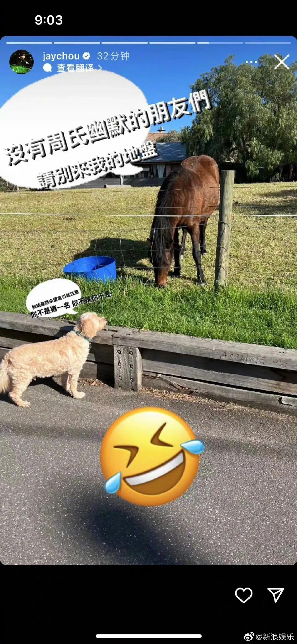 2天6个瓜：离婚、被骗1亿、女歌手演出脱上衣、男星骚扰多名女孩